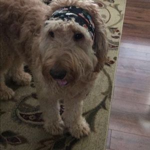 Meet your Posher, Kimberlyn